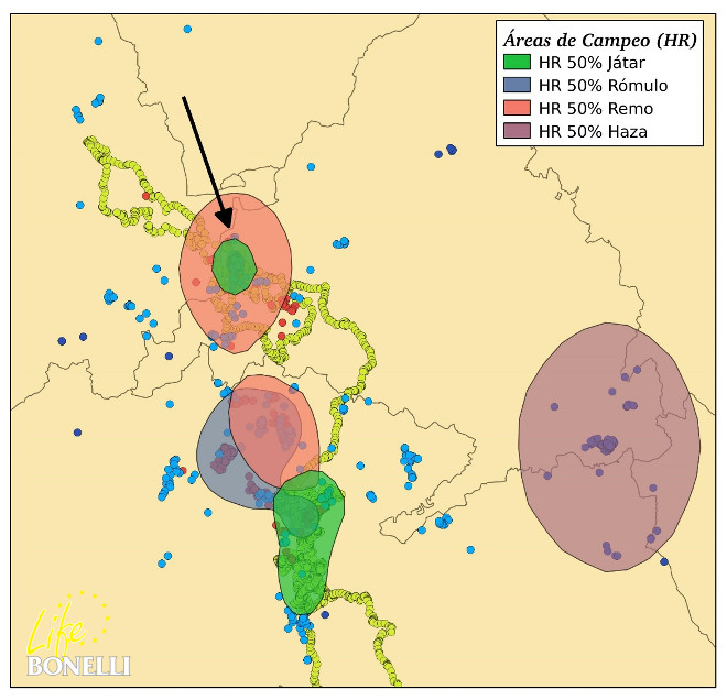 Figura  2 Áreas de Campeo en la Zona Centro Peninsular en Septiembre-Octubre 2014. La flecha indica la zona de liberación.