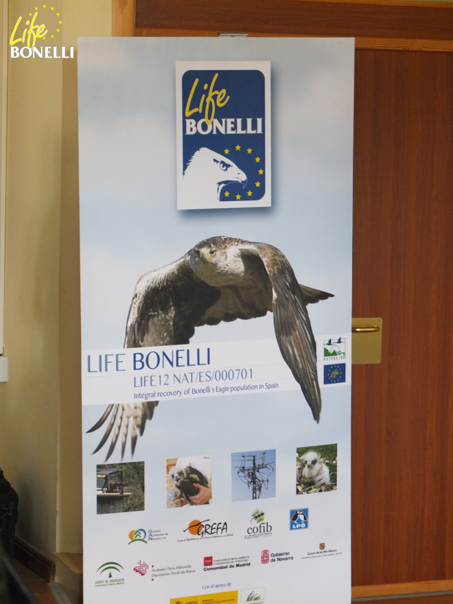 FOTO 1.- Banderola del LIFE Bonelli