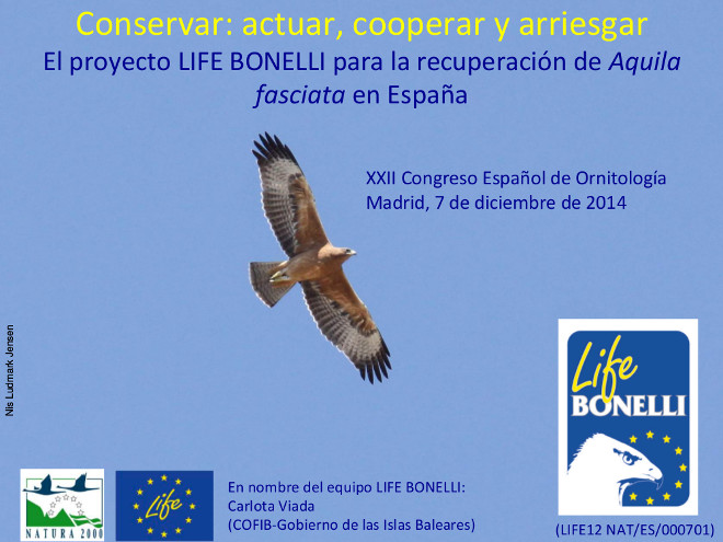 E2 Congreso SEO 2014 PONENCIA LIFE BONELLI