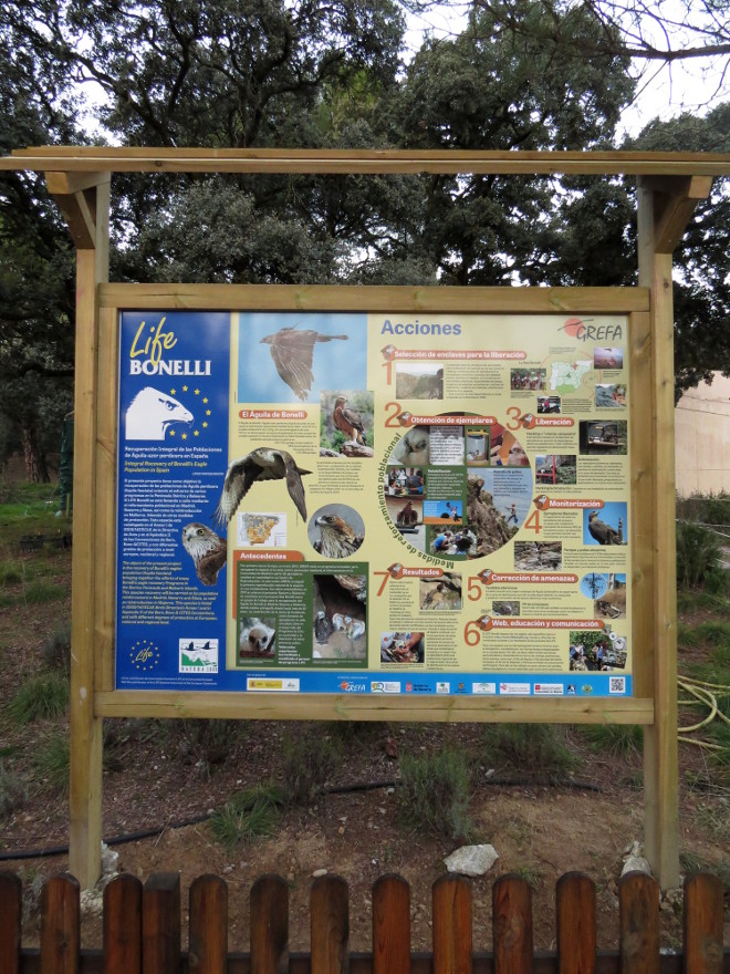 Cartel informativo Life Bonelli en GREFA