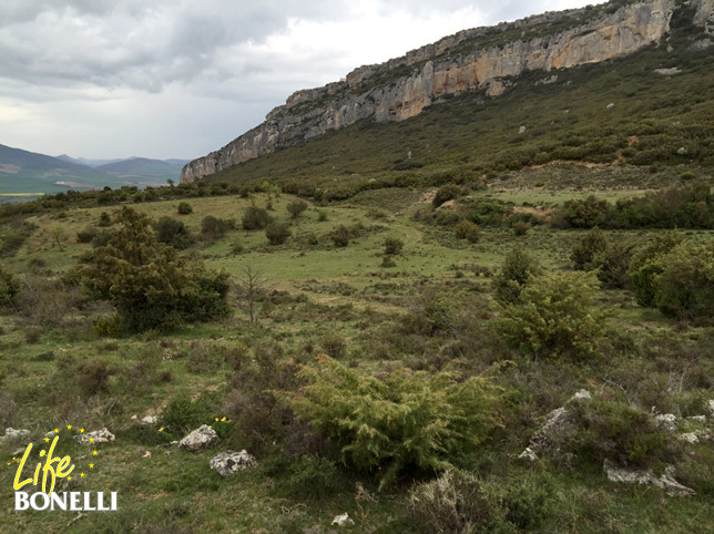 Área de liberación de Lumbier.