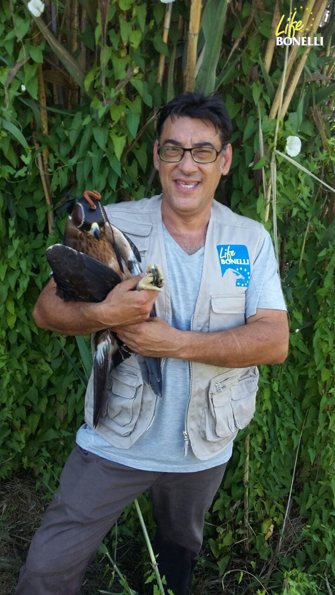 Escorial recién recapturado en s’Albufera de Mallorca, en manos de un voluntario.