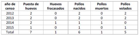 seguimiento parejas aguila bonelli 2015 016