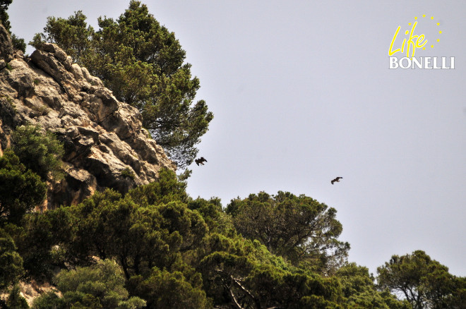 France y Finistérre volando sobre los cortados de la zona de liberación (Foto: Xavier Gassó).