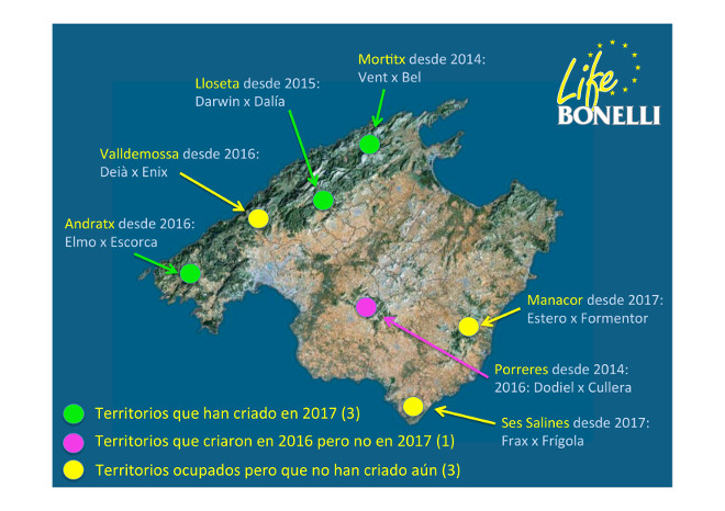 Localización aproximada de las siete parejas territoriales conocidas, indicando su año de ocupación y los nombres de los ejemplares que actualmente las componen (macho x hembra).