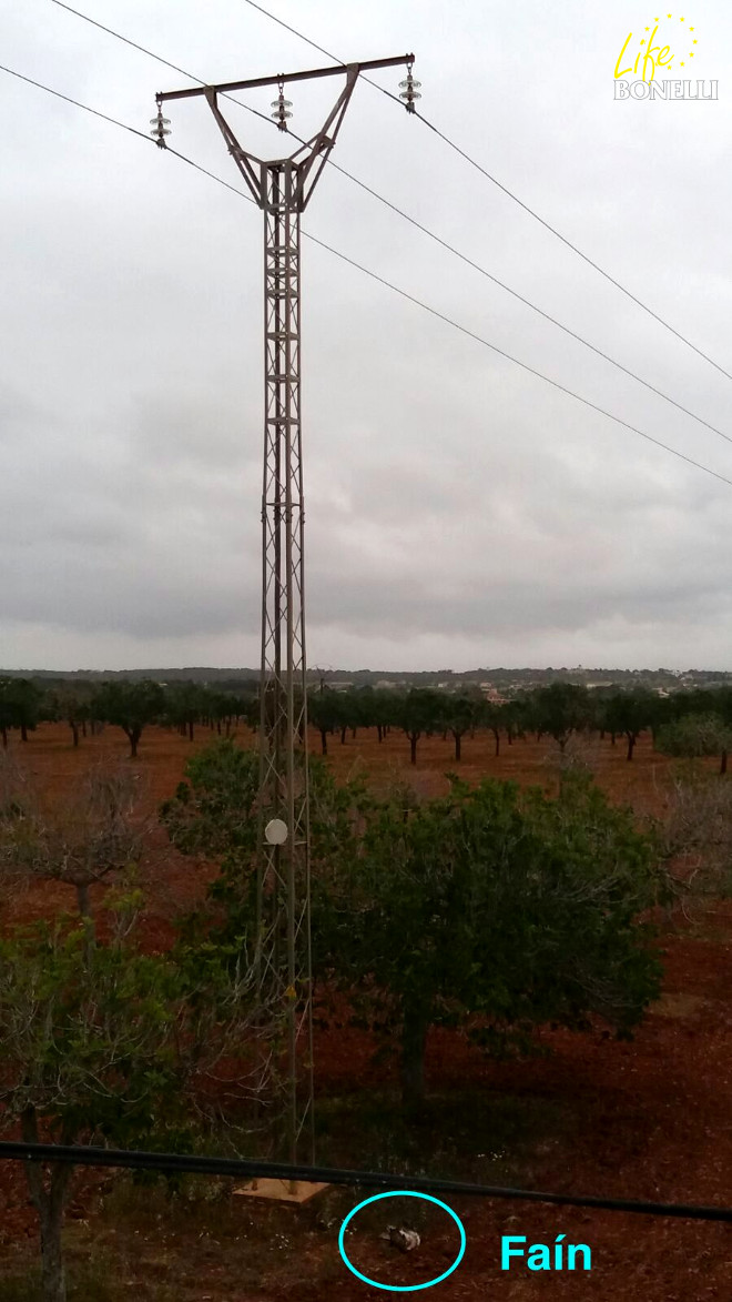 Torre eléctrica donde murió Faín, con su cadáver aún al pie. Tiene un diseño en bóveda muy frecuente en la isla.