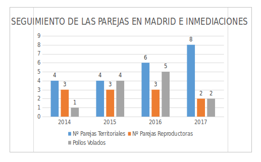 grafico seguimieto parejas águila de Bonelli