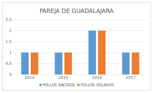 grafico seguimieto parejas bonelli